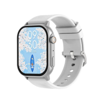 DEVIA Smart Watch Pro2 (Argent) 