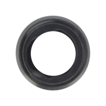 Lentille Caméra Arrière Noire iPhone 6S