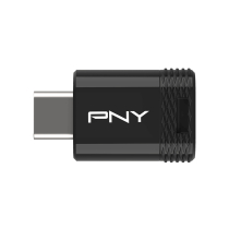 PNY Clé USB Type-C 3.2 Elite-X 256 Go