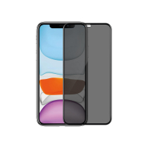 Verre trempé iPhone 16 (Privacy)